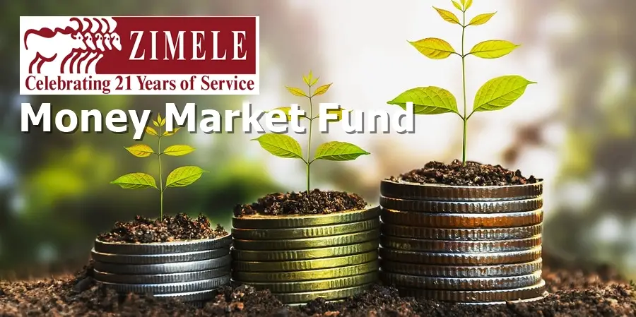 Zimele money market fund