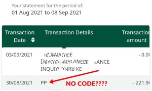 How To Fix Paypal Code Not Showing On Statement [2021]